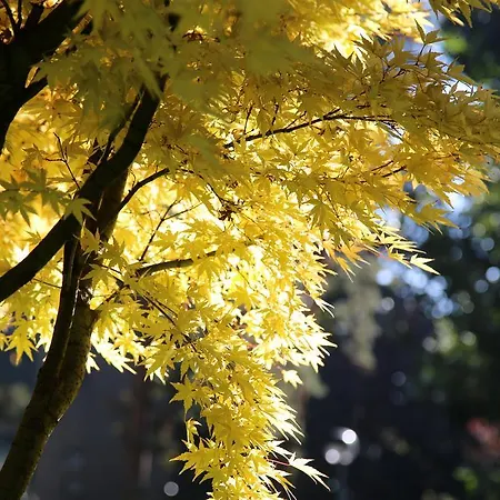 Appartement Bilocale Indipendente *